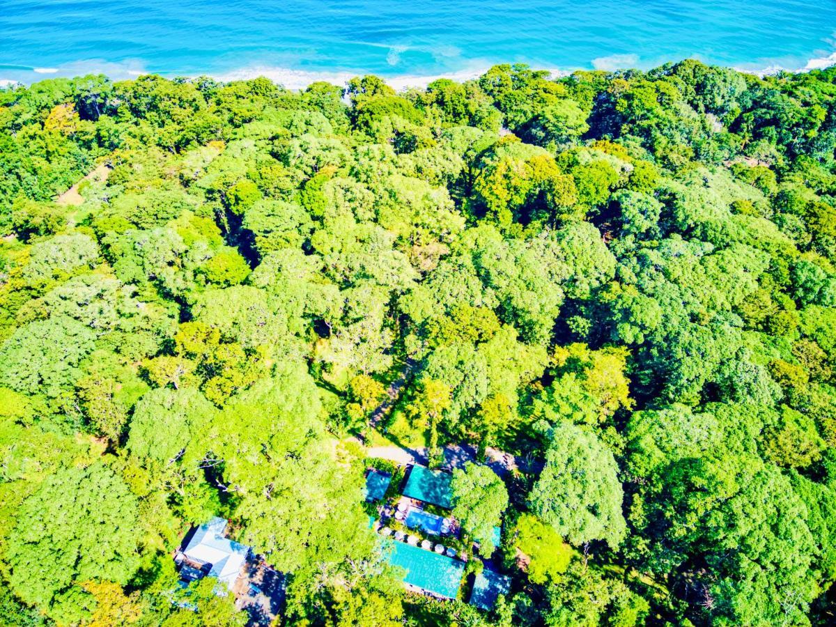 Puerto Viejo de Talamanca Exotico Beach Hotel מראה חיצוני תמונה